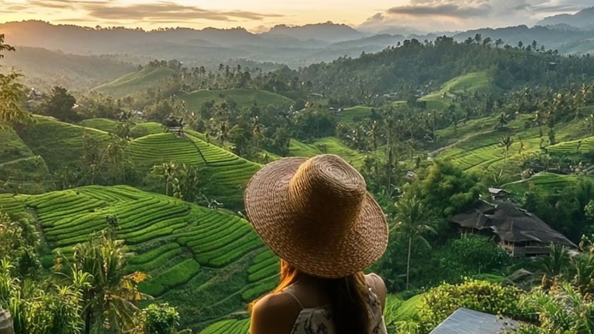 Rice Terrace Trekking Jatiluwih