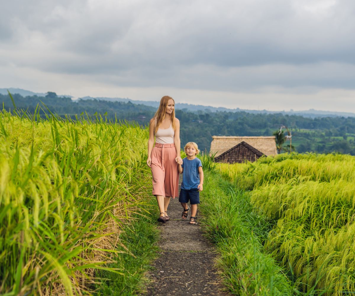 Best Rice Terrace Trekking in Bali — Jatiluwih & Ubud Scenic Nature Walks