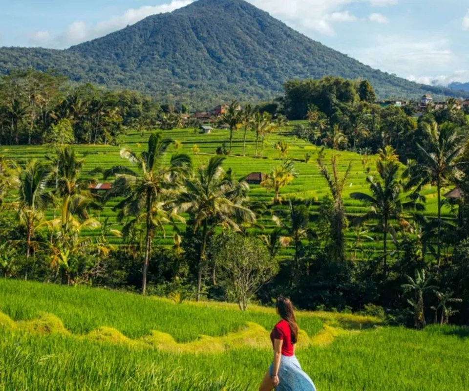 Rice Terrace Trekking Jatiluwih