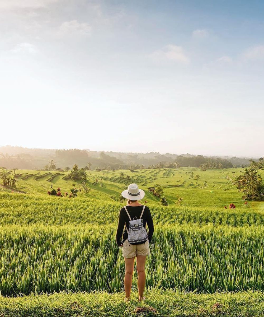 Things to Do in Ubud Bali: Ultimate 2026 Travel Guide