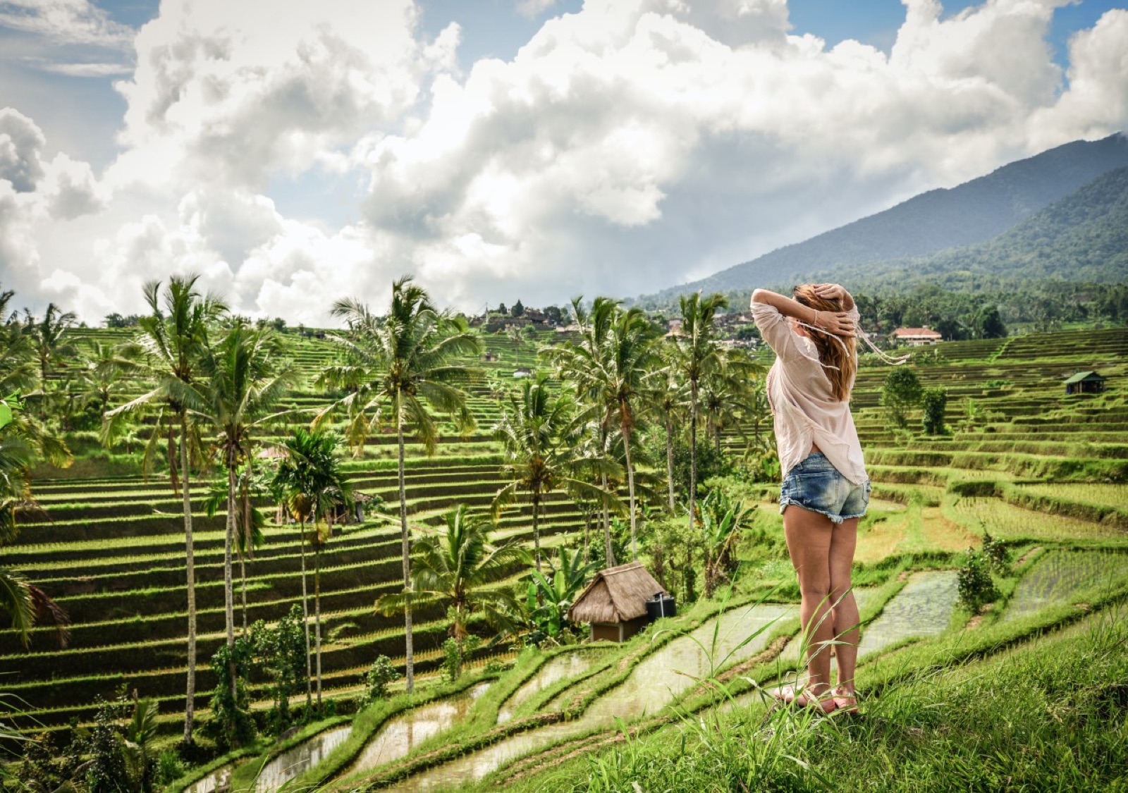 Lush green Bali rice terraces at sunrise