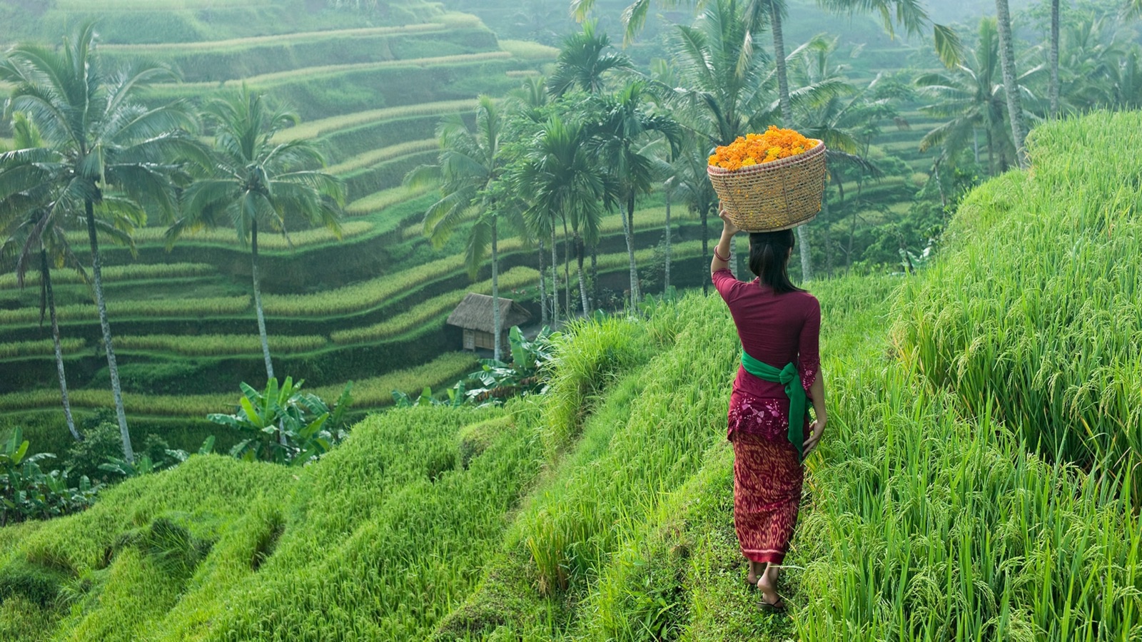 Bali September Events 2026: Shoulder-Season Festivals, Sacred Ceremonies & Why This Month Is Bali's Best-Kept Secret