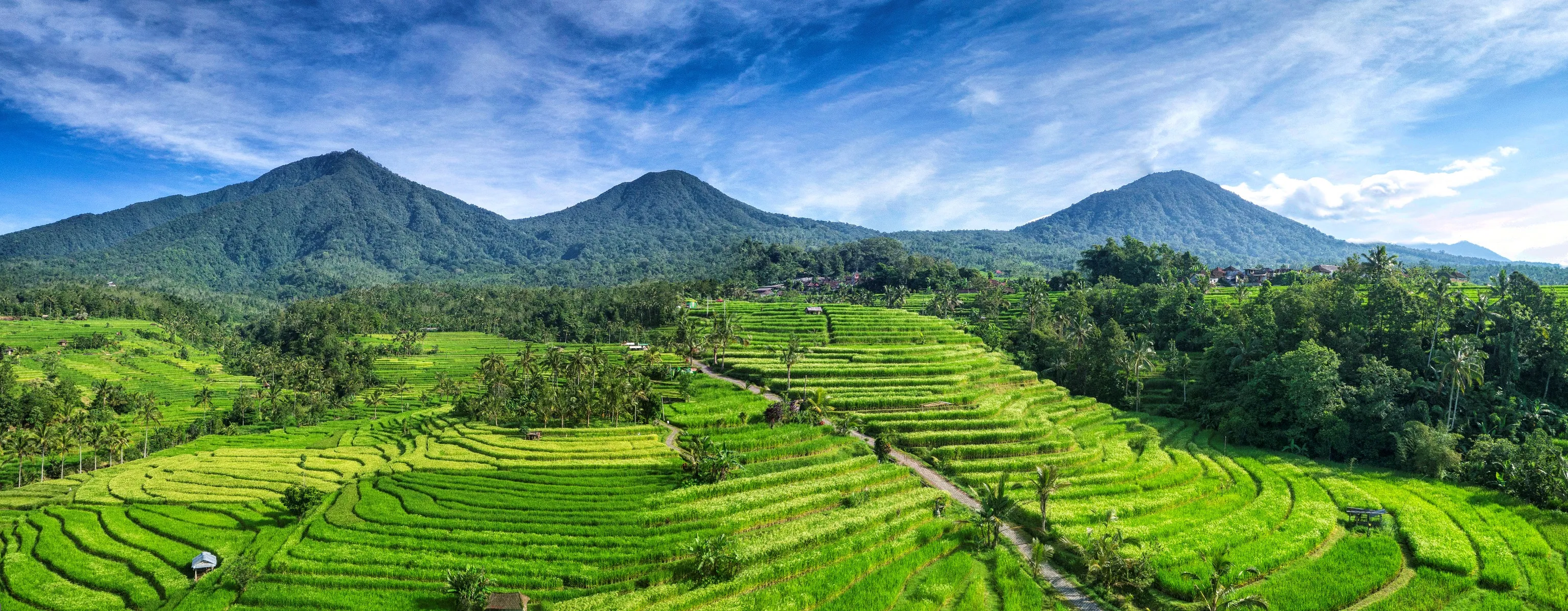 Best Rice Terrace Trekking in Bali — Jatiluwih & Ubud Scenic Nature Walks