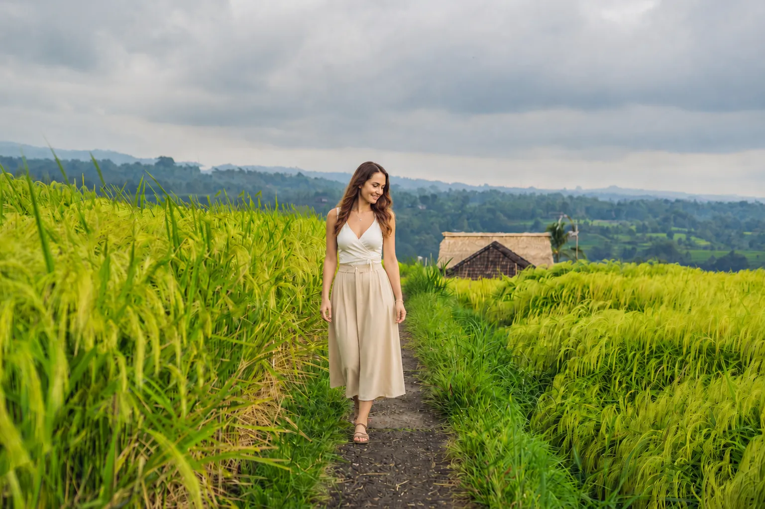 Rice Terrace Trekking Jatiluwih